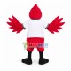 Lively Red Eagle Mascot Costume For Team Lively Red Eagle Mascot Costume For Team
