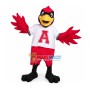 Lively Red Eagle Mascot Costume For Team