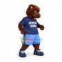 Sport Brown Bear For High School Mascot Costume