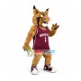 Powerful Basketball Player Tiger Mascot Costume