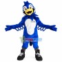 Club Member Blue Bird Mascot Costume