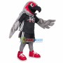 Soft Plush Grey Eagle Of Football Club Mascot Costume