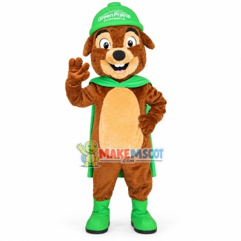 Squirrel Of Grassland Environmental Protection Association Mascot Costume