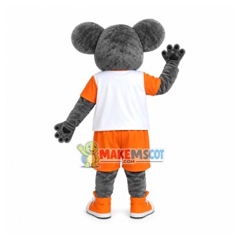 Encouraging Koala Of International Preschool Mascot Costume