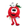 Red Haw With Knitted Hat Mascot Costume