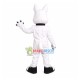 Active Domestic White Pet Dog Mascot Costume Active Domestic White Pet Dog Mascot Costume