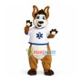 Outgoing Kangaroo Of College Mascot Costume