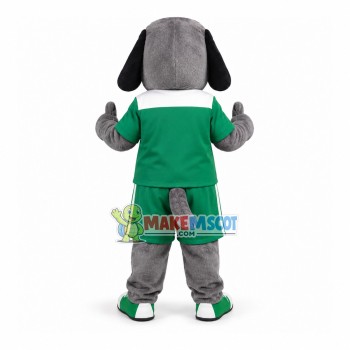 Gray Dog of The Patriot School Mascot Costume
