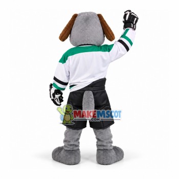 Healthy Dog Of The Food Center Mascot Costume