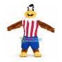 Strong Muscle Player Eagle Mascot Costume
