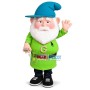 Serious Green Dwarf Mascot Costume