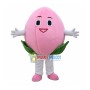 Ripe Juicy Peach Mascot Costume