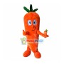 Nutritious Healthy Carrot Mascot Costume