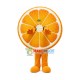 Half a Cut Orange Mascot Costume
