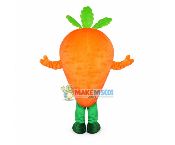 Triangle Carrot Cartoon Mascot Costume Triangle Carrot Cartoon Mascot Costume