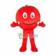 Smiley Tomato Mascot Costume Smiley Tomato Mascot Costume