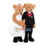 One Pair Of Teddy Bear Mascot Costume