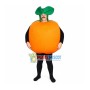 Breathable Cartoon Orange Mascot Costume
