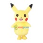 Lovely Pikachu Mascot Costume for Adult