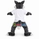 Gray Wolf Mascot Costume For University
