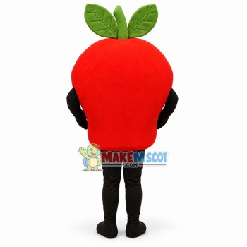 Large Red Apple Cartoon Mascot Costume