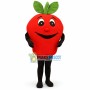 Large Red Apple Cartoon Mascot Costume