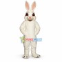 Pure White Rabbit With Red Eyes Mascot Costume