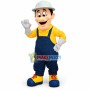 Survey Expert Wearing Hard Hat Mascot Costume