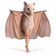 Covert Brown Vampire Bat Mascot Costume Covert Brown Vampire Bat Mascot Costume