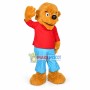 Friendly Little Boy Lion Mascot Costume