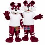 Tiger Partner of Club Mascot Costume