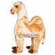 Calm Desert Camel Mascot Costume