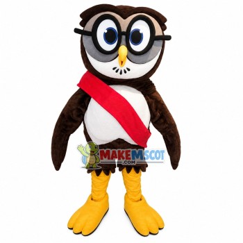 Owl With The Medal Ribbon Mascot Costume