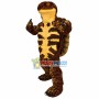 Long-lived Land Turtle Mascot Adult Costume