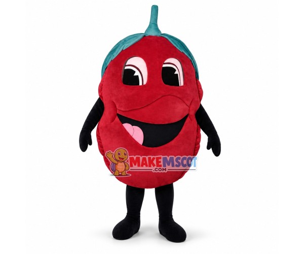 Cartoon Smiley Raspberry Mascot Costume