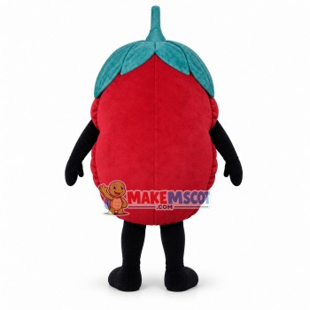 Cartoon Smiley Raspberry Mascot Costume Cartoon Smiley Raspberry Mascot Costume