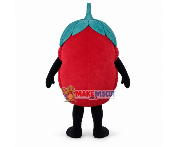 Cartoon Smiley Raspberry Mascot Costume Cartoon Smiley Raspberry Mascot Costume