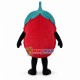 Cartoon Smiley Raspberry Mascot Costume Cartoon Smiley Raspberry Mascot Costume