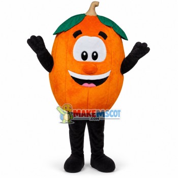 Different Varieties of Orange Mascot Costume