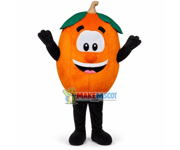 Different Varieties of Orange Mascot Costume Different Varieties of Orange Mascot Costume