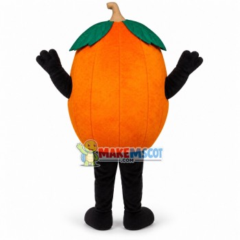 Different Varieties of Orange Mascot Costume Different Varieties of Orange Mascot Costume