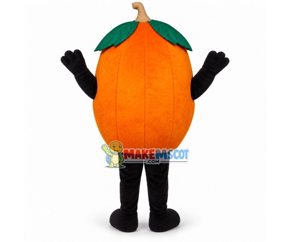 Different Varieties of Orange Mascot Costume Different Varieties of Orange Mascot Costume