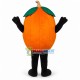 Different Varieties of Orange Mascot Costume Different Varieties of Orange Mascot Costume