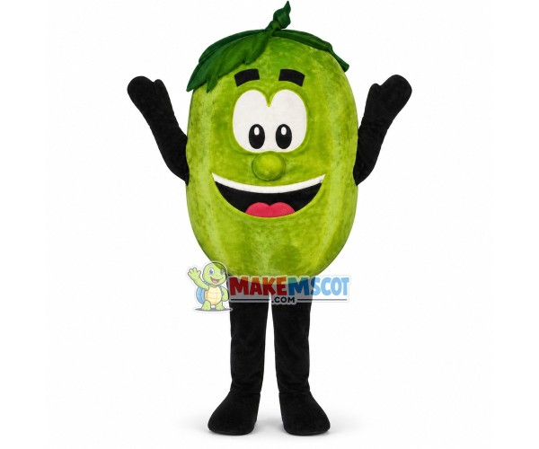 Different Varieties of Orange Mascot Costume Different Varieties of Orange Mascot Costume