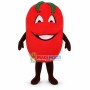 Pollution-free Ripe Tomato Mascot Costume
