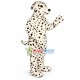 Loyal Dalmatian Adult Size Mascot Costume Loyal Dalmatian Adult Size Mascot Costume