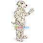 Loyal Dalmatian Adult Size Mascot Costume