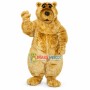 Bulky Soft Adult Bear Mascot Costume