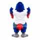 Inspiring Blue Eyed Falcon Mascot Costume Inspiring Blue Eyed Falcon Mascot Costume