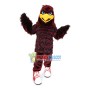 Messy Furry Eagle With Sports Shoes Mascot Costume